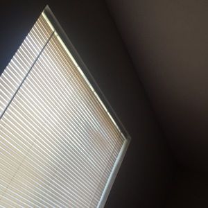 Meet your Posher, Ernesto